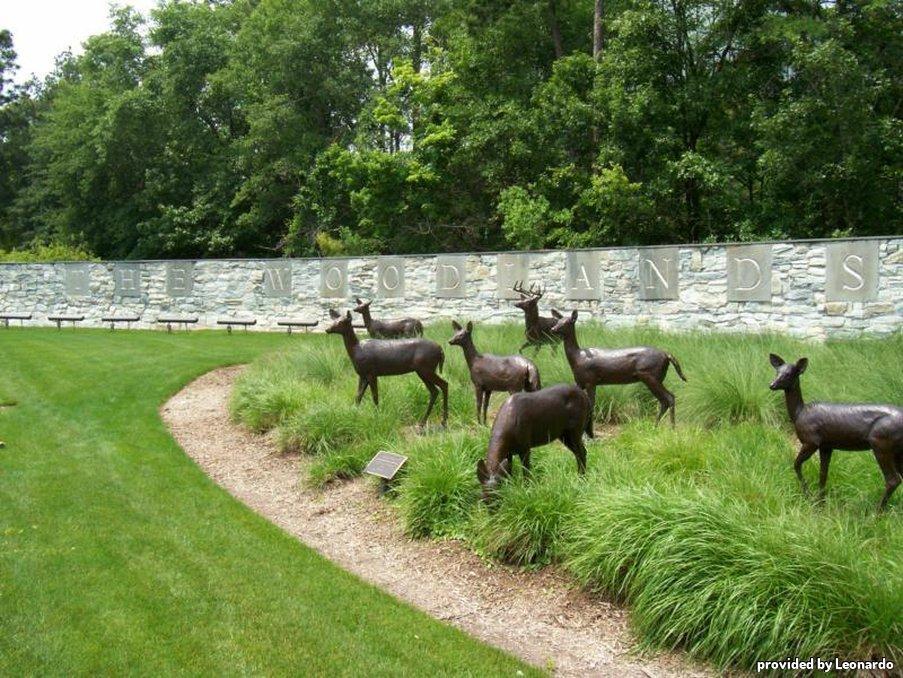 Best Western Plus The Woodlands Bagian luar foto